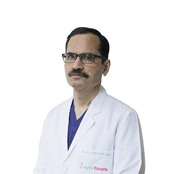 Dr. Z S Meharwal