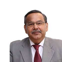 Dr. Prof Rohini Handa