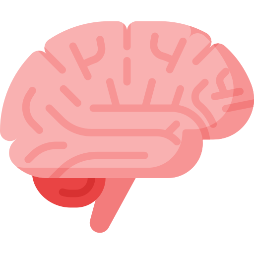 neurology
