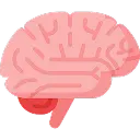 neurology