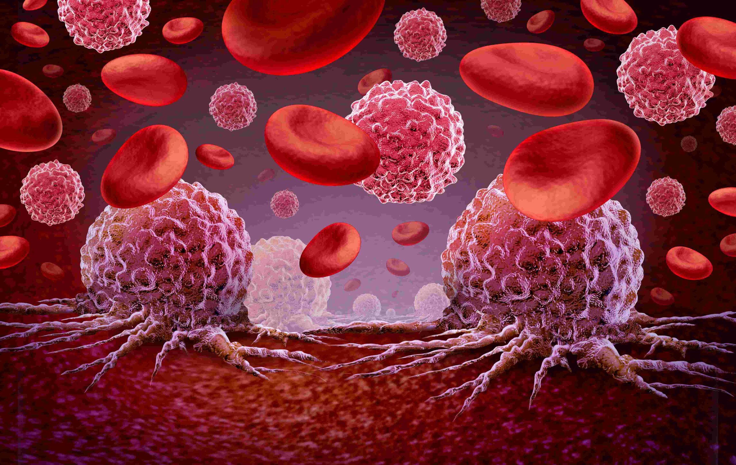 blood cancer treatment cost in India 2026